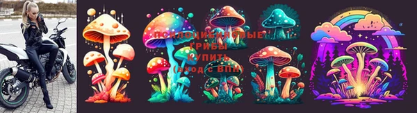 PSILOCYBIN Лабытнанги