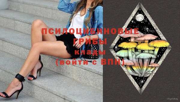 крисы Ладушкин