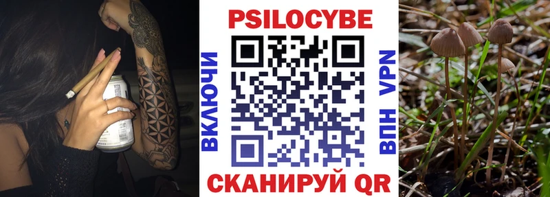 Купить закладки  Руза  Галлюциногенные грибы Magic Shrooms 